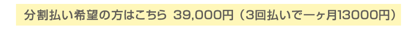 分割払い希望の方はこちら 39,000円（3回払いで一ヶ月13000円）